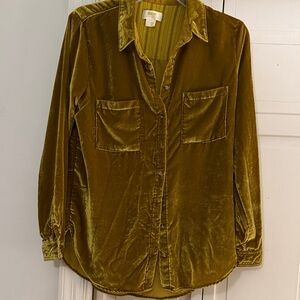 Anthropologie Mauve Velvet Blouse in Olive Green
